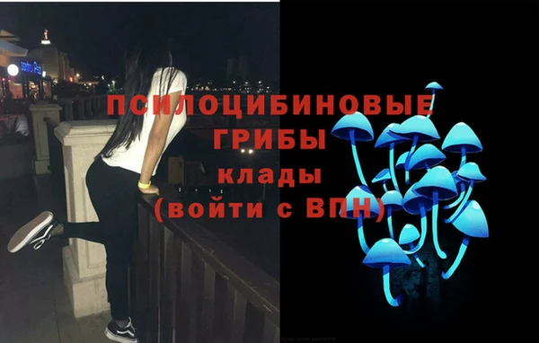 марки nbome Карпинск