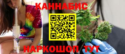 jwh Кингисепп