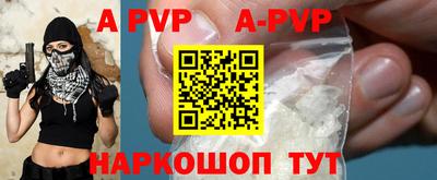 jwh Кингисепп