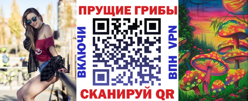 мега онион  площадка официальный сайт  Псилоцибиновые грибы Psilocybe  Коркино 