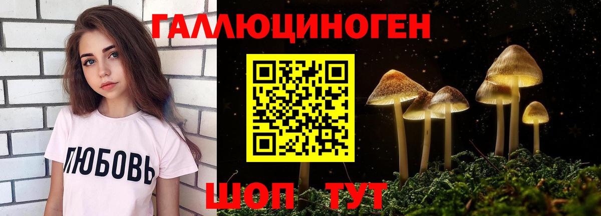 Галлюциногенные грибы GOLDEN TEACHER Коркино